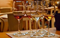 Начало курса OPEN WINE