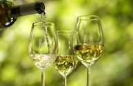 Начало курса OPEN WINE